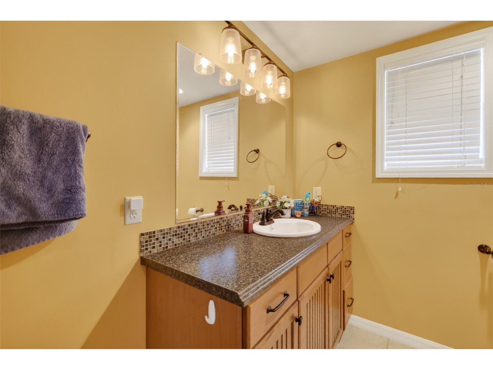 5713 Lake Street Mount Dora FL 32757 G5111280 image16