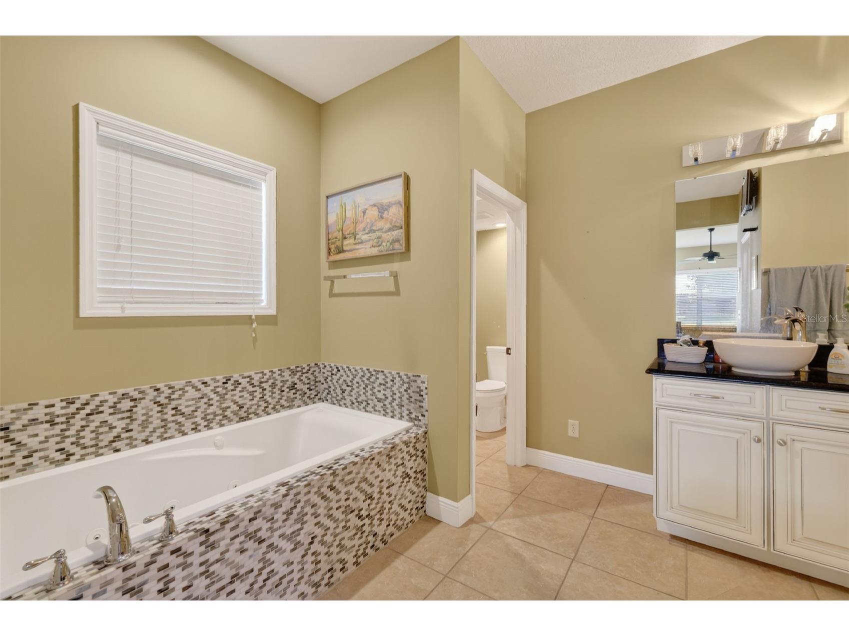 5713 Lake Street Mount Dora FL 32757 G5111280 image21