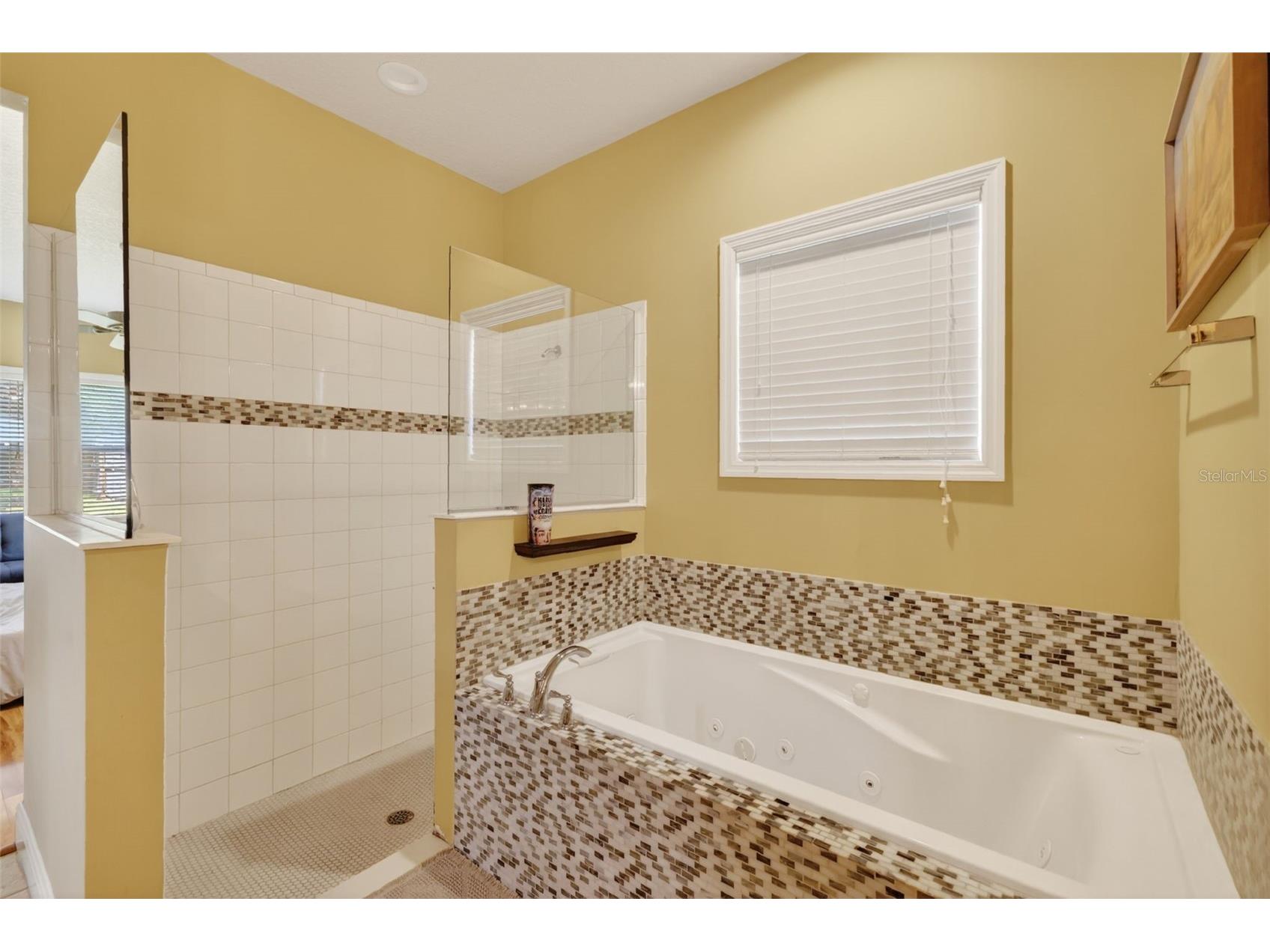 5713 Lake Street Mount Dora FL 32757 G5111280 image23