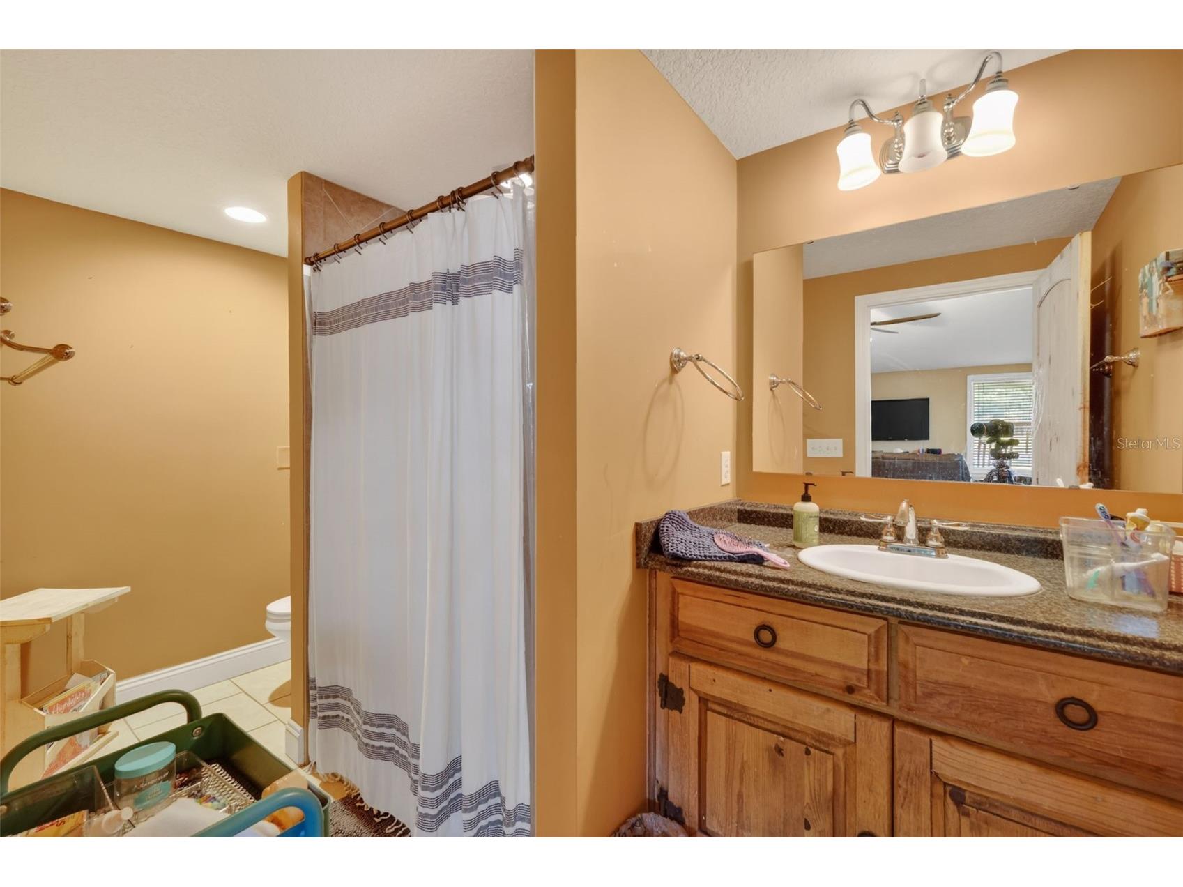 5713 Lake Street Mount Dora FL 32757 G5111280 image7