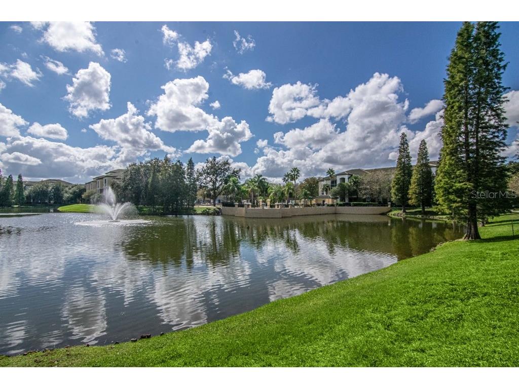 5713 Legacy Crescent Place #101 Riverview FL 33578 TB8525629 image20