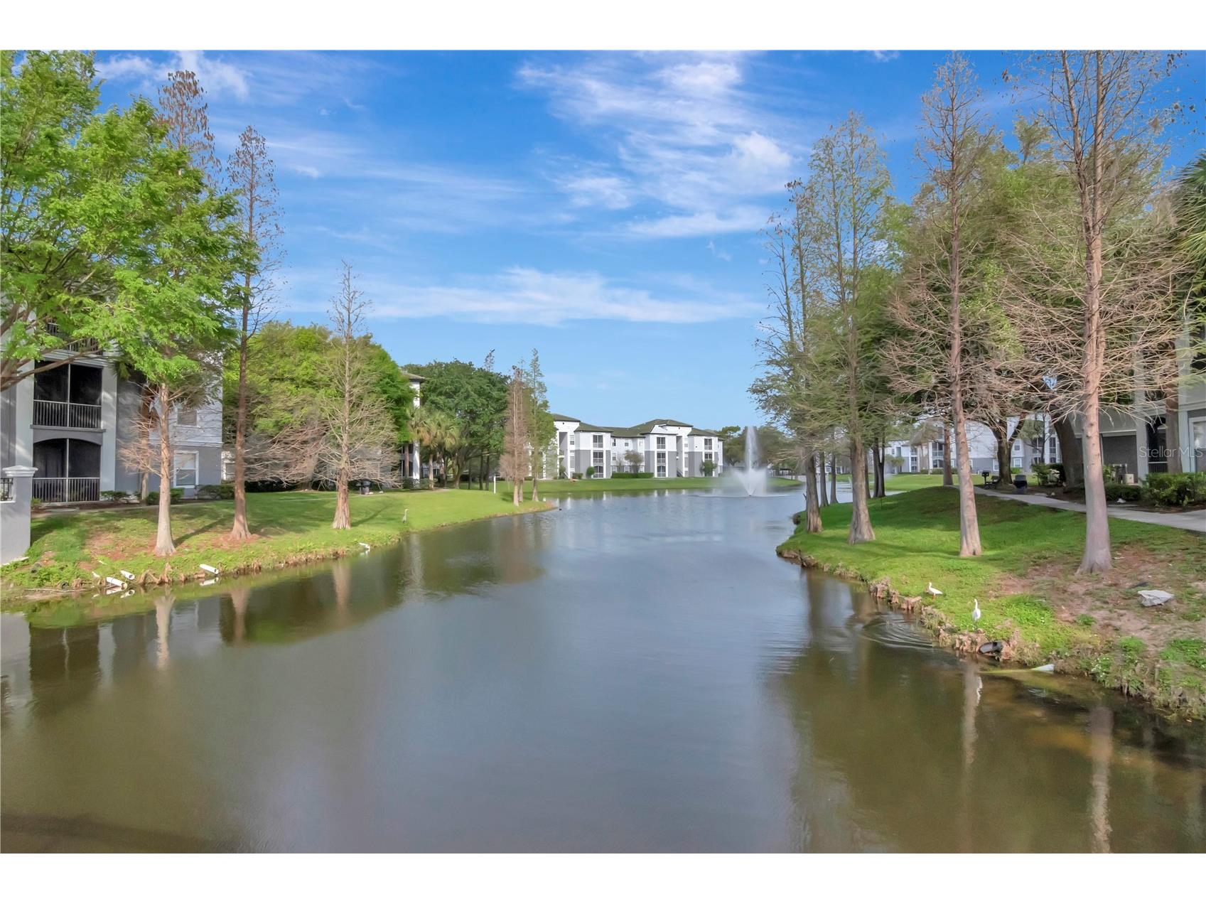 5713 Legacy Crescent Place #101 Riverview FL 33578 TB8525629 image29
