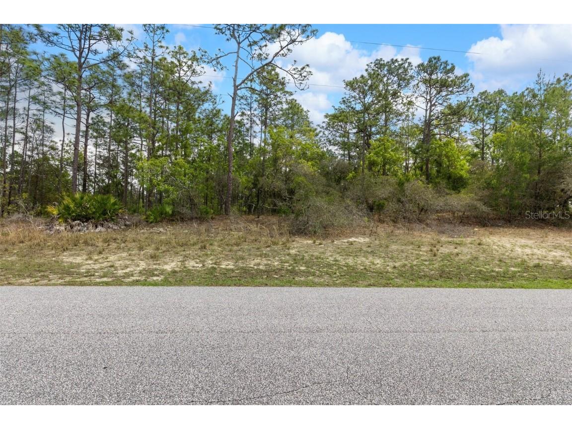 5713 N Buffalo Drive Beverly Hills FL 34465 OM698204 image1