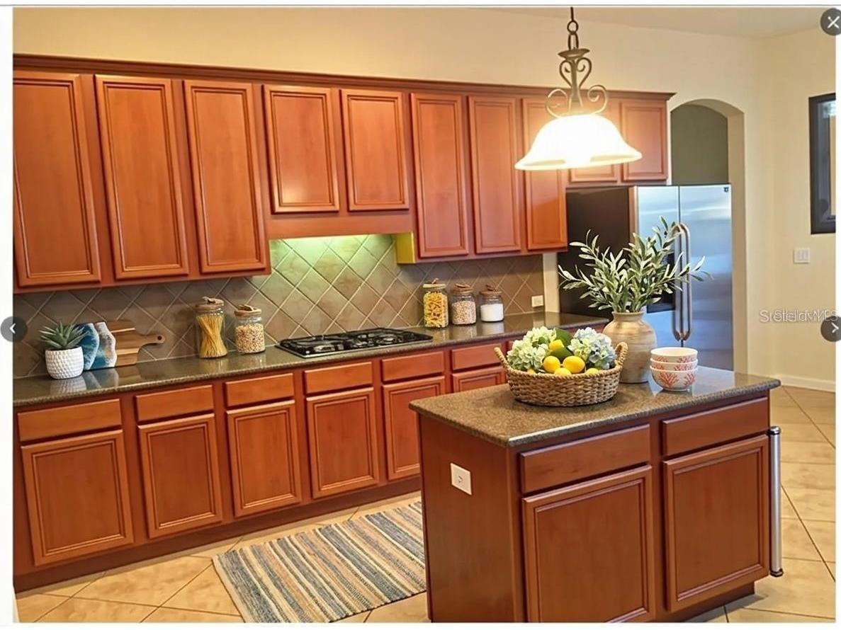 5713 Sea Trout Place Apollo Beach FL 33572 TB8527253 image7