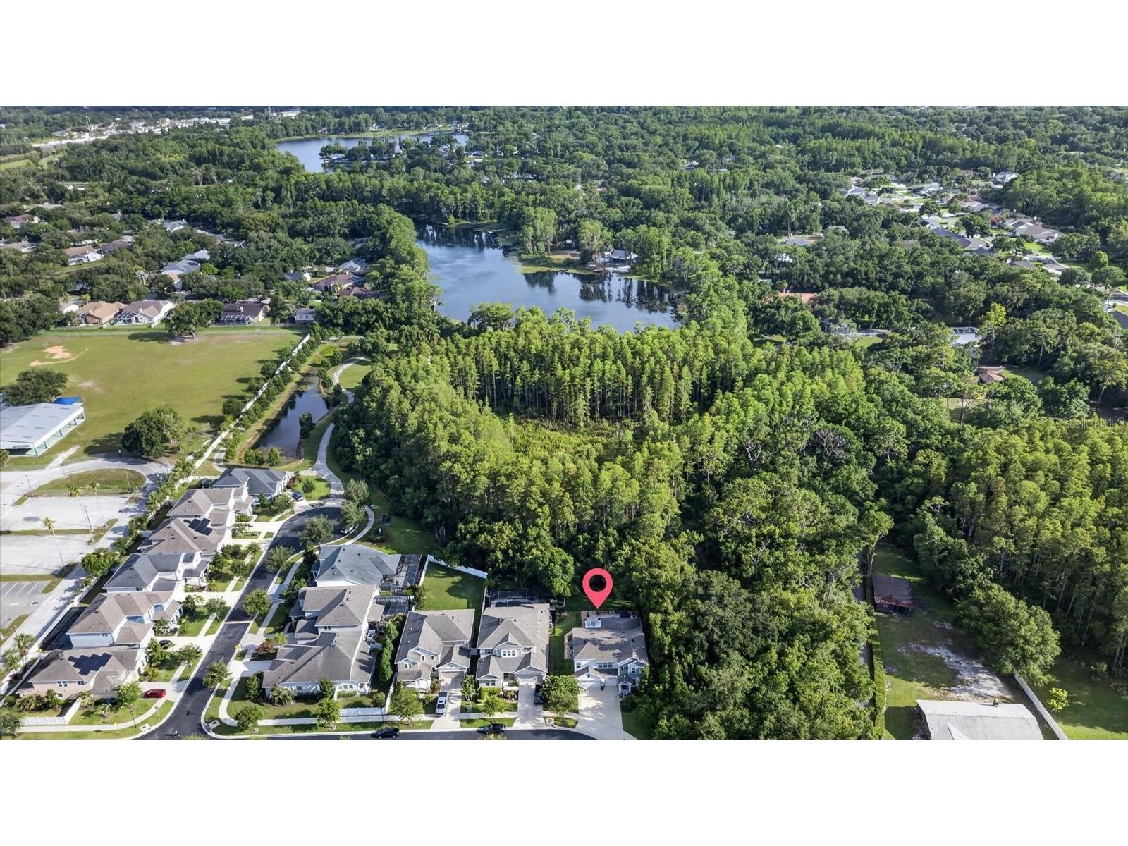 5714 Camila Song Lane Tampa FL 33625 TB8520947 image4