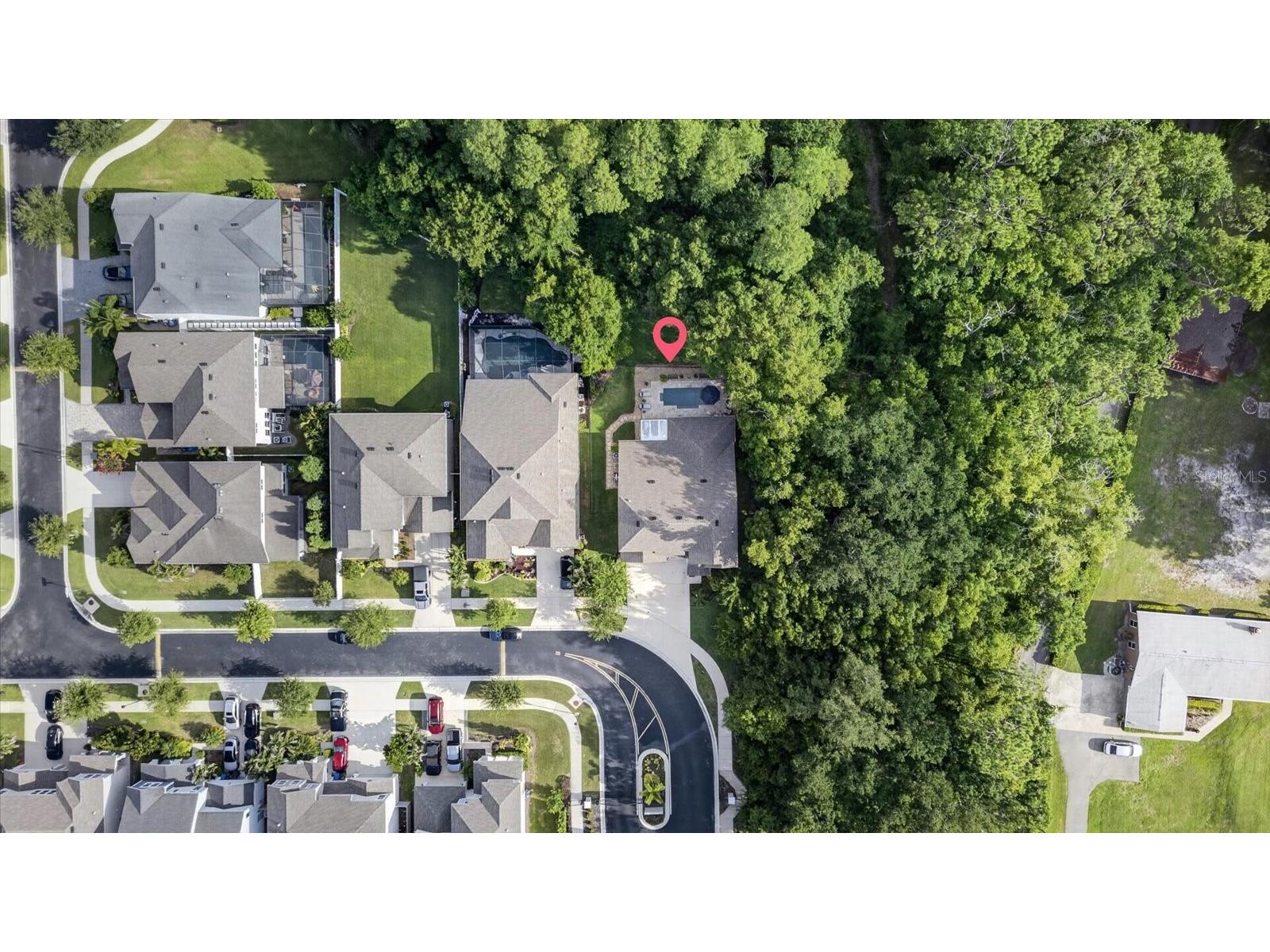 5714 Camila Song Lane Tampa FL 33625 TB8520947 image6