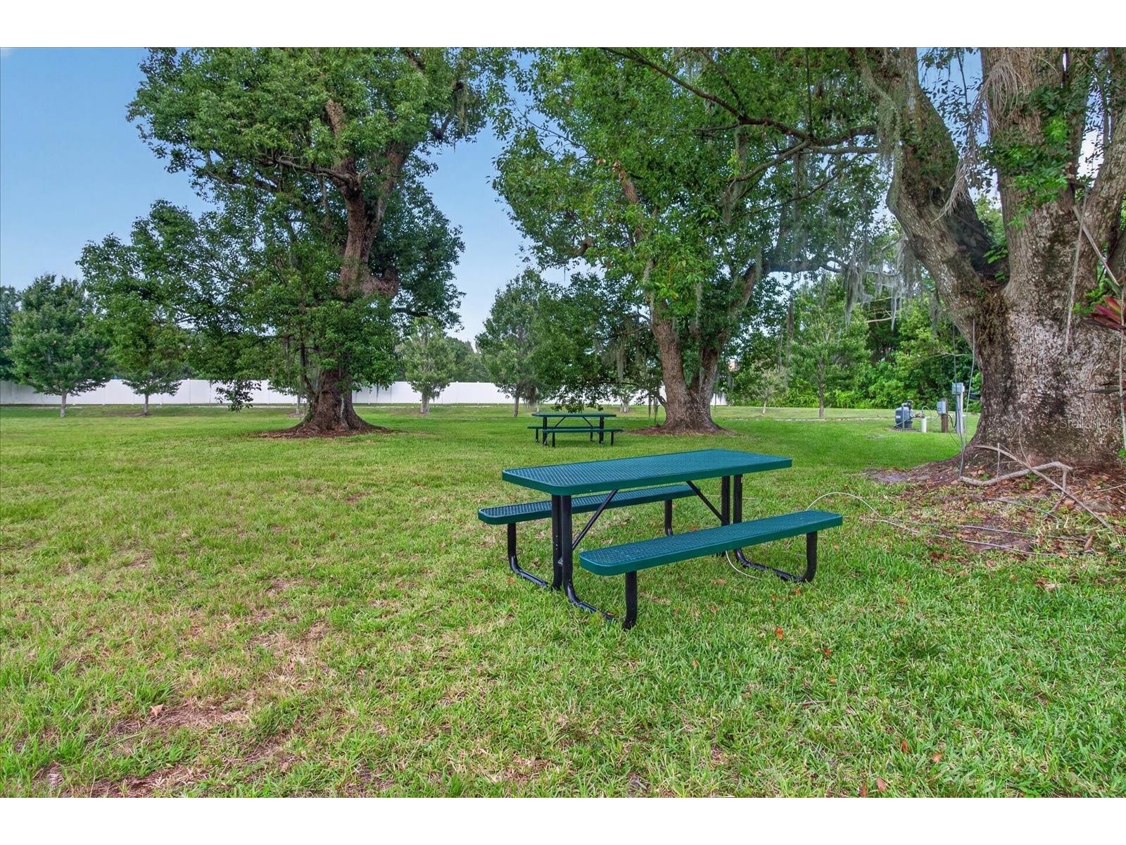 5714 Camila Song Lane Tampa FL 33625 TB8520947 image76