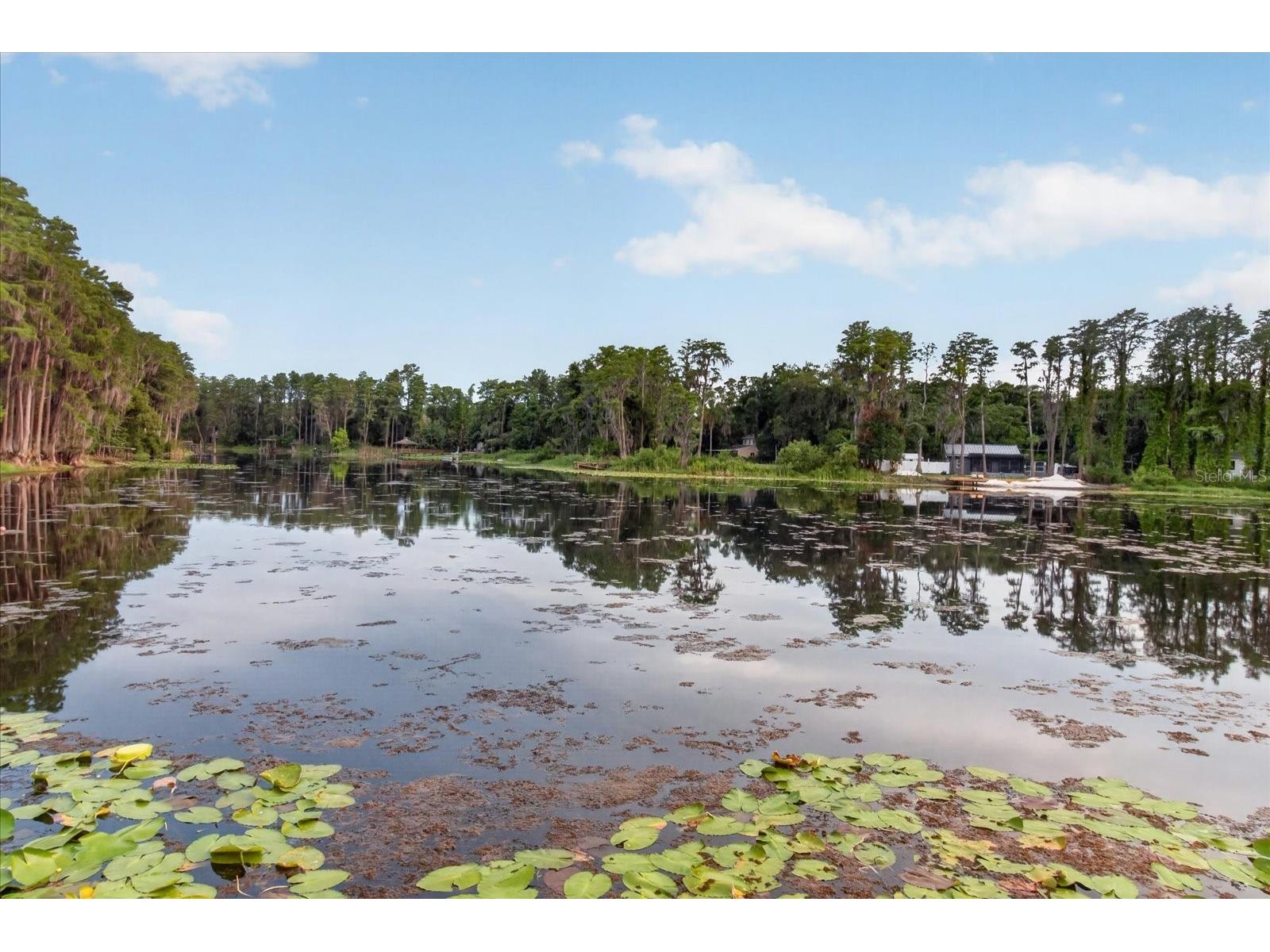 5714 Camila Song Lane Tampa FL 33625 TB8520947 image81