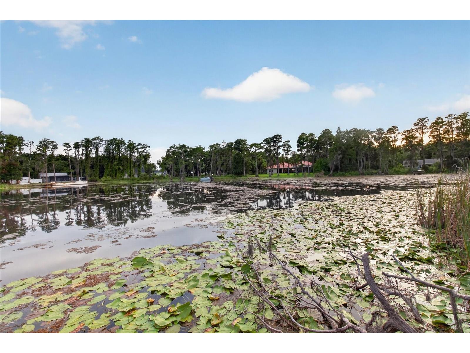 5714 Camila Song Lane Tampa FL 33625 TB8520947 image82