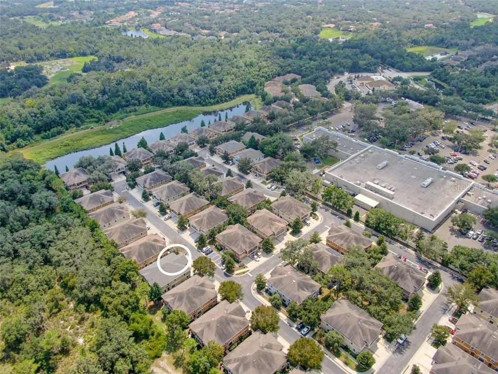 5714 Kingletsound Place Lithia FL 33547 TB8367162 image13