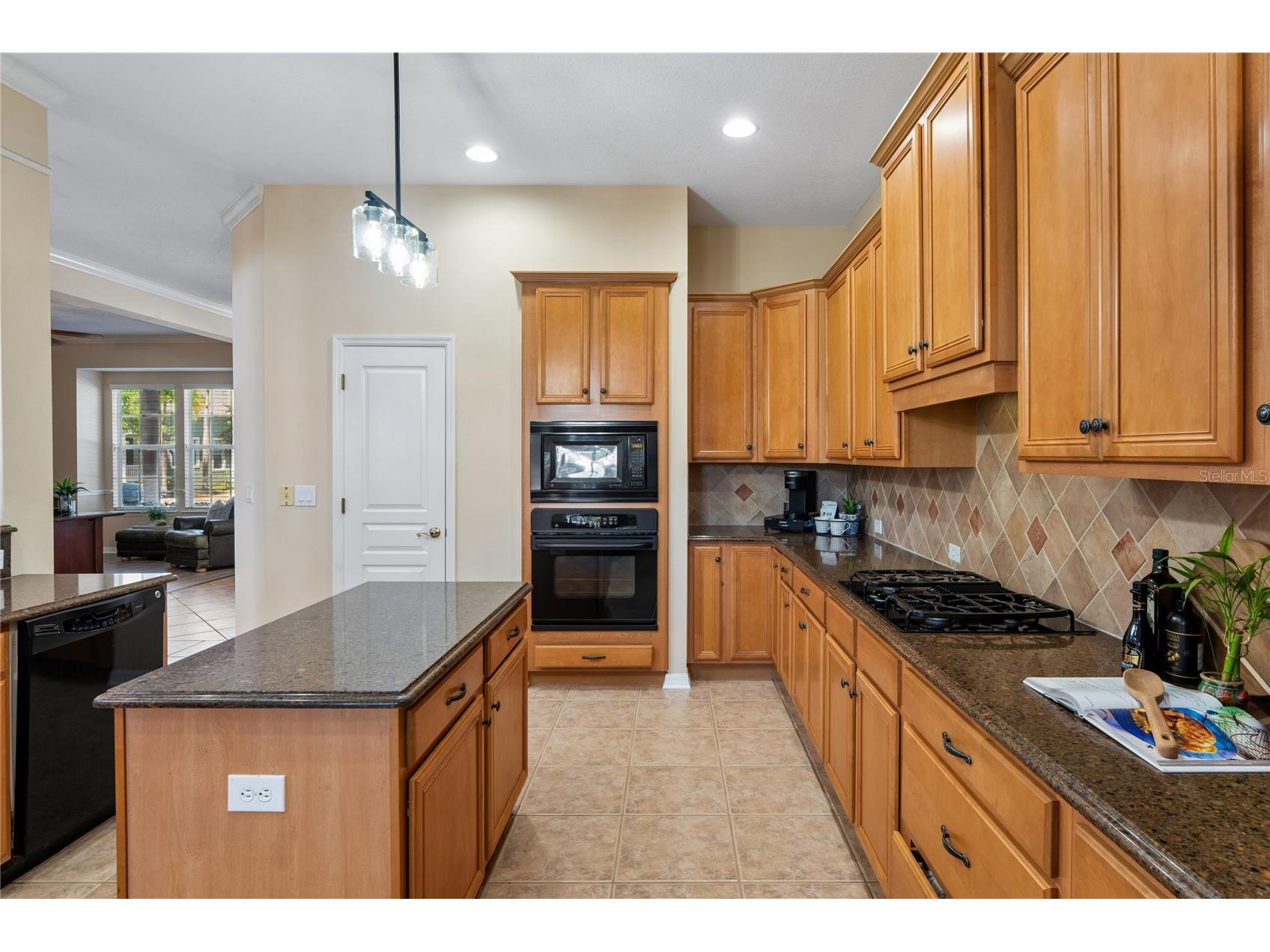 5714 Sea Trout Place Apollo Beach FL 33572 TB8506931 image16