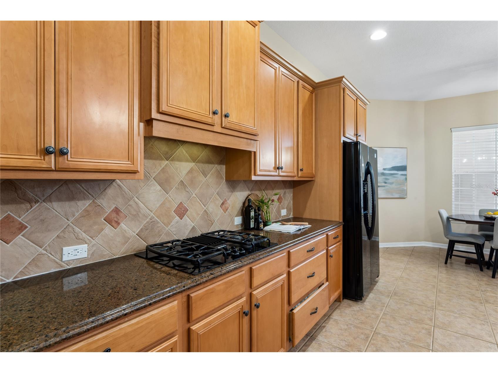 5714 Sea Trout Place Apollo Beach FL 33572 TB8506931 image18