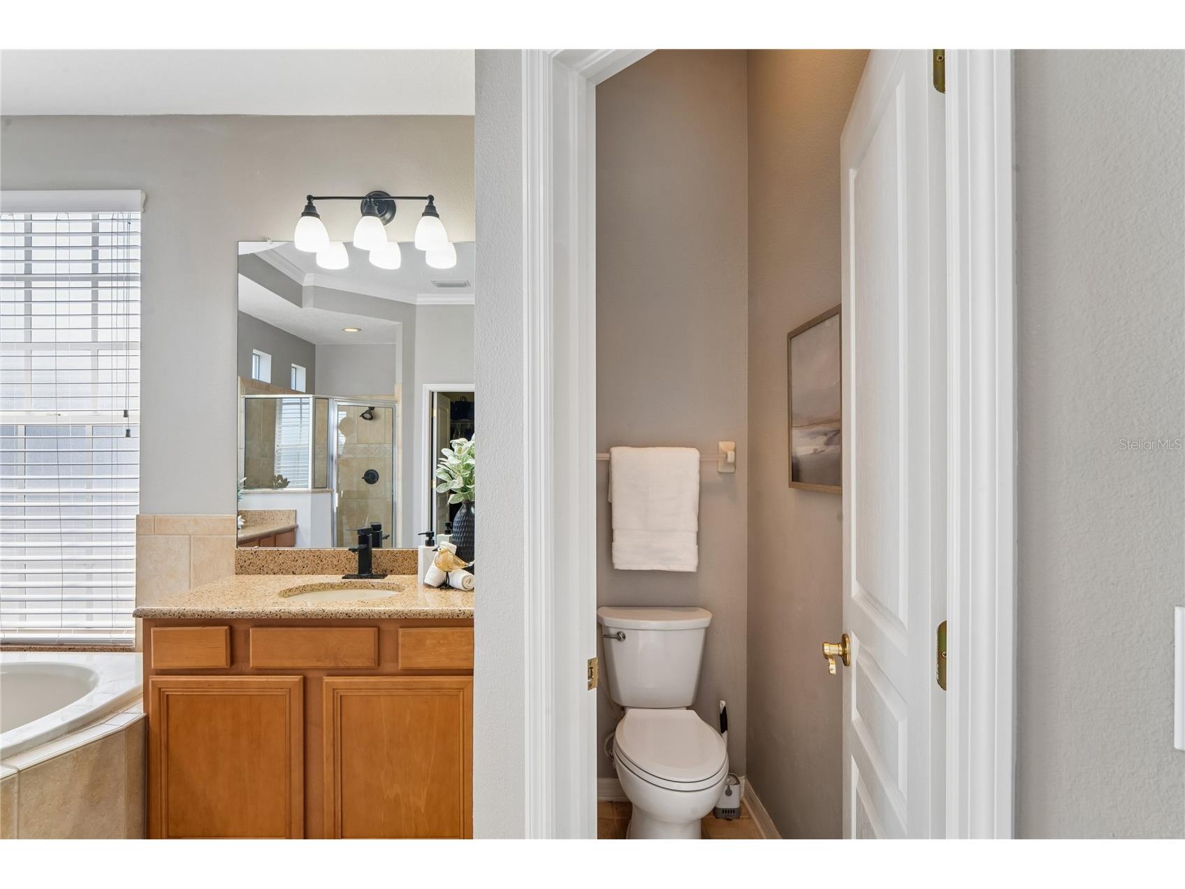 5714 Sea Trout Place Apollo Beach FL 33572 TB8506931 image29