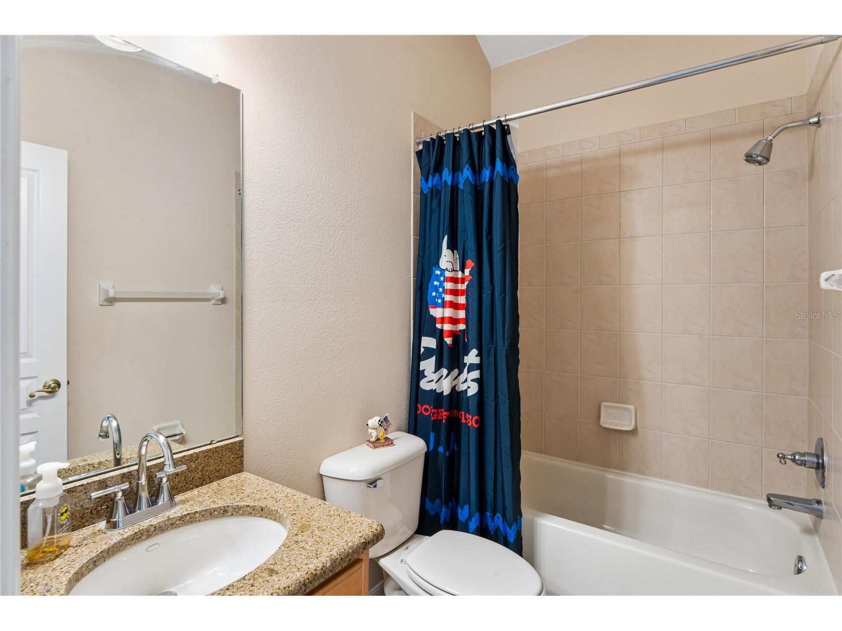 5714 Sea Trout Place Apollo Beach FL 33572 TB8506931 image41