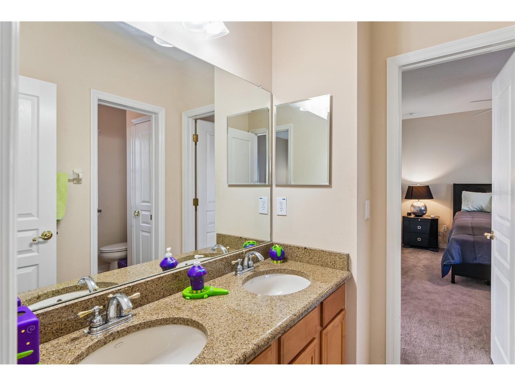 5714 Sea Trout Place Apollo Beach FL 33572 TB8506931 image47