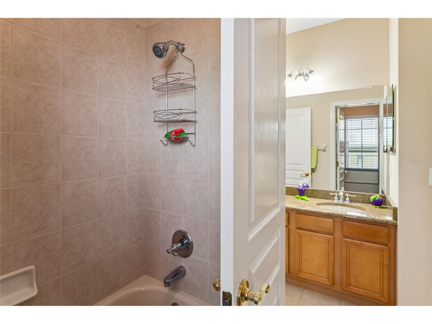 5714 Sea Trout Place Apollo Beach FL 33572 TB8506931 image49