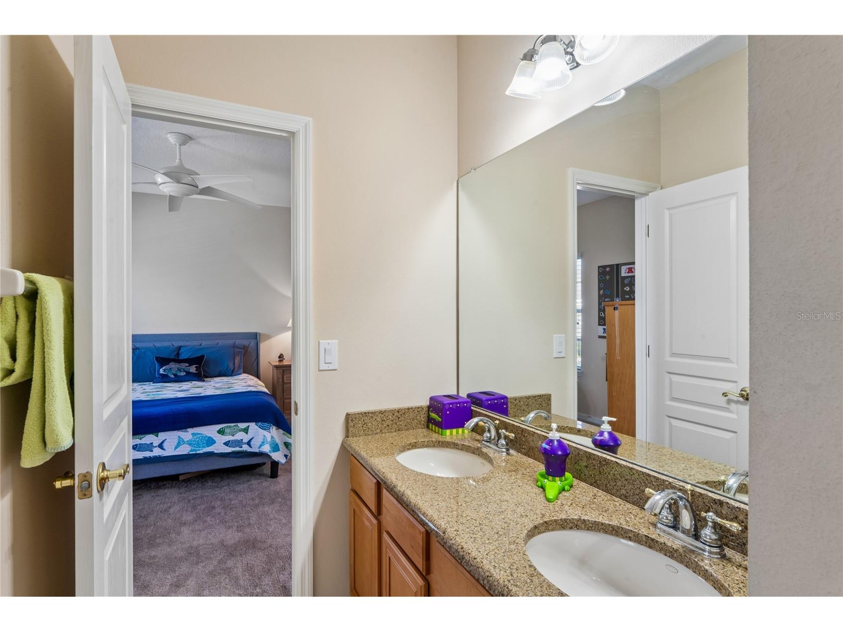 5714 Sea Trout Place Apollo Beach FL 33572 TB8506931 image50