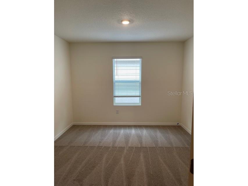 5715 Margate Mill Bend Wesley Chapel FL 33545 TB8492865 image13