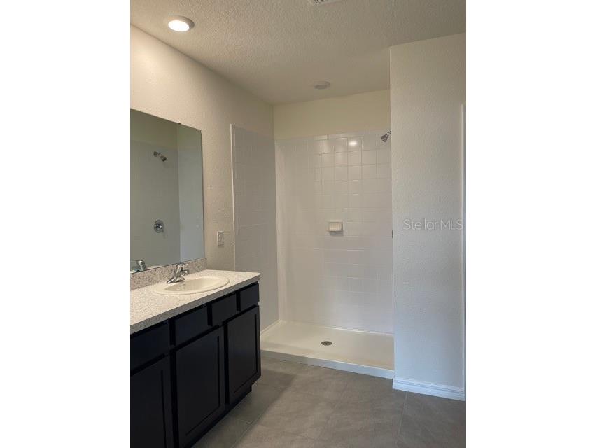 5715 Margate Mill Bend Wesley Chapel FL 33545 TB8492865 image8