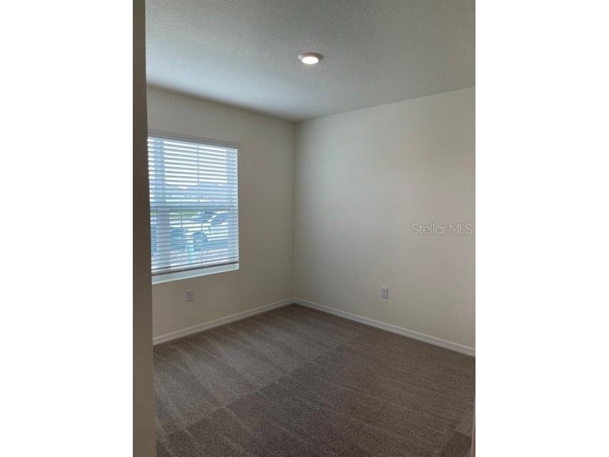 5715 Margate Mill Bend Wesley Chapel FL 33545 TB8492865 image9
