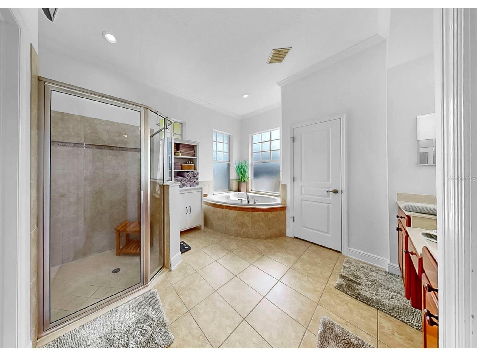 5715 Sea Trout Place Apollo Beach FL 33572 TB8487889 image40