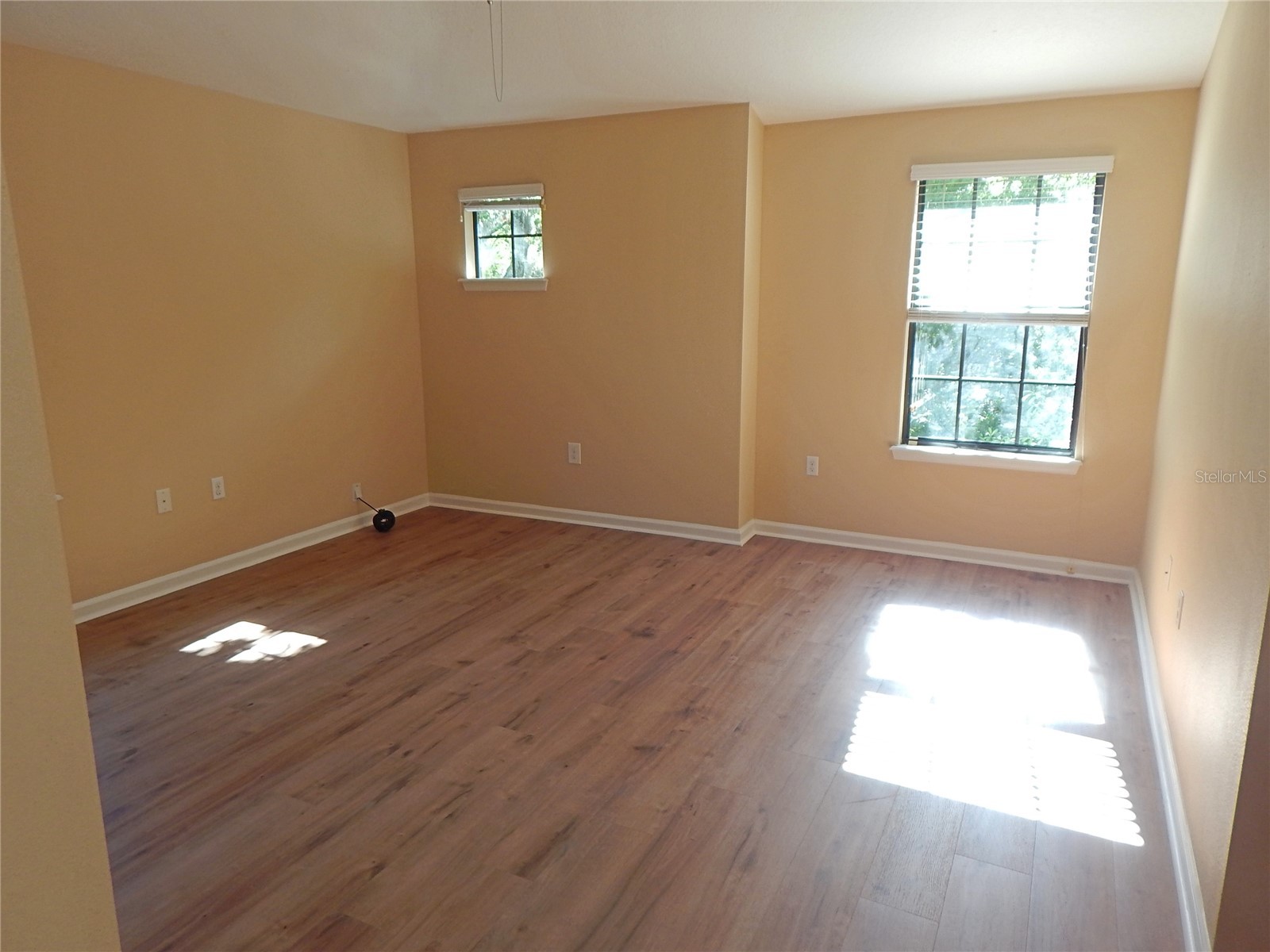 5716 Kingletsound Place Lithia FL 33547 TB8493347 image12