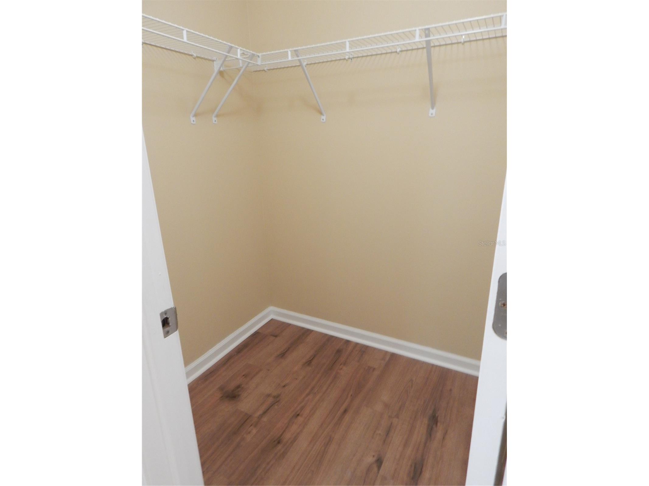5716 Kingletsound Place Lithia FL 33547 TB8493347 image15