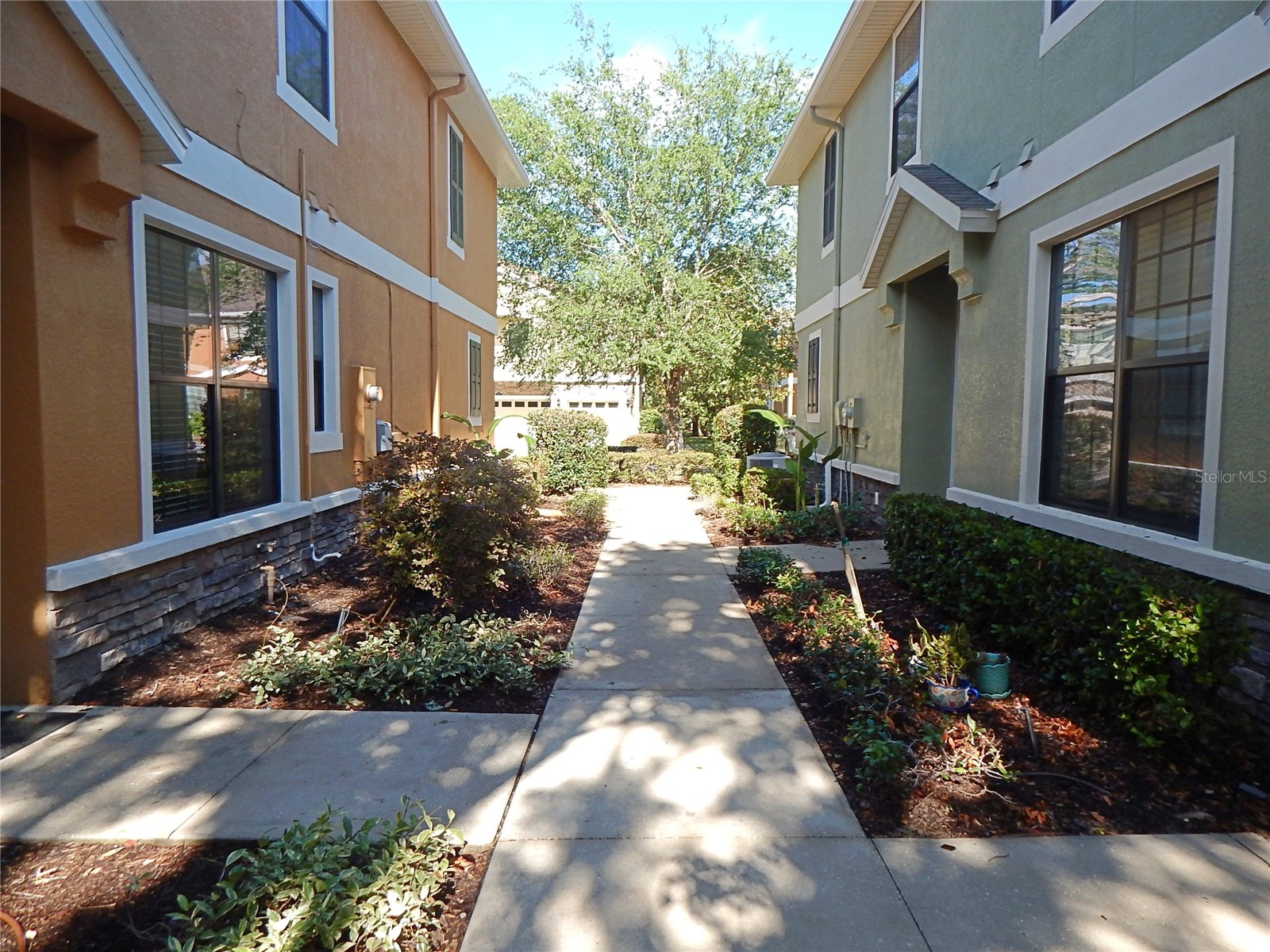 5716 Kingletsound Place Lithia FL 33547 TB8493347 image2