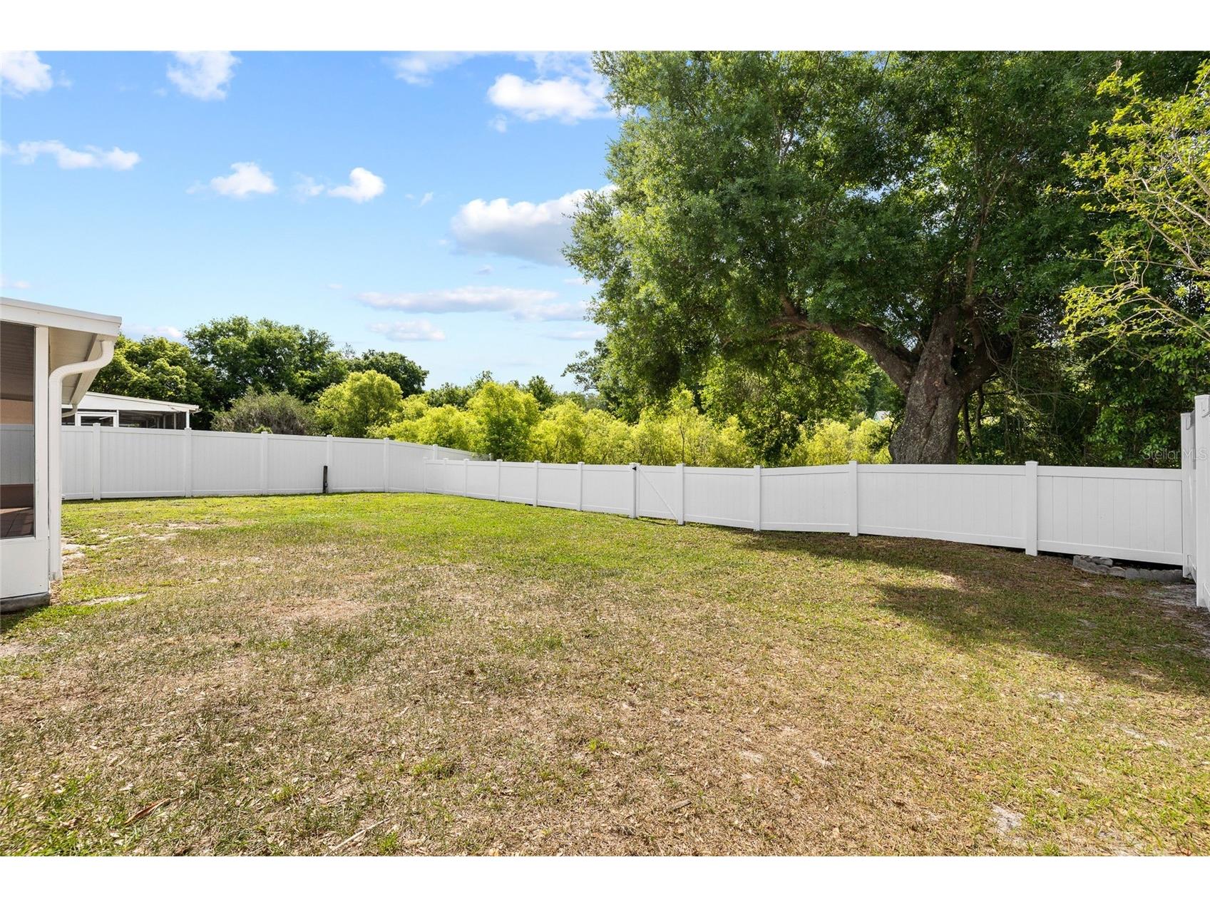 5716 Ridgestone Drive Tampa FL 33625 TB8495338 image27