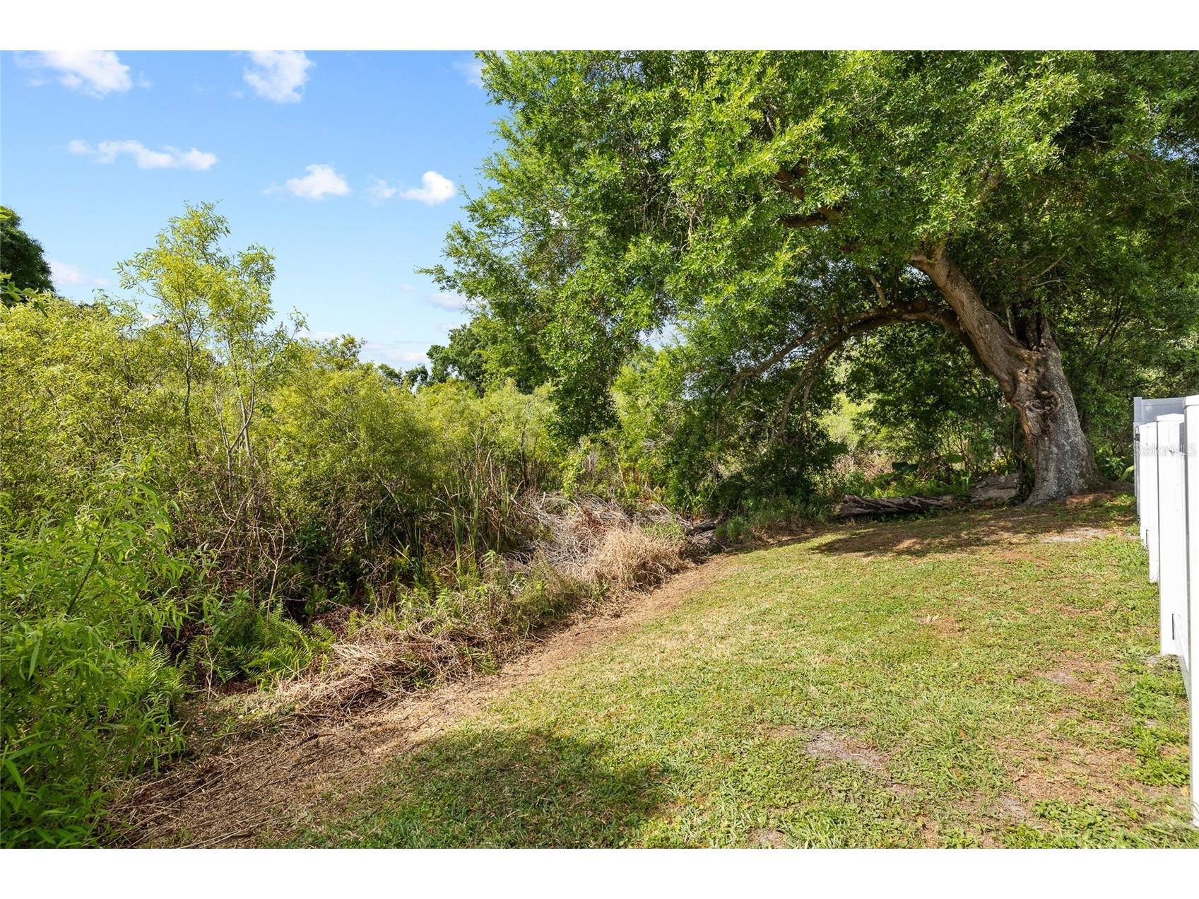5716 Ridgestone Drive Tampa FL 33625 TB8495338 image31