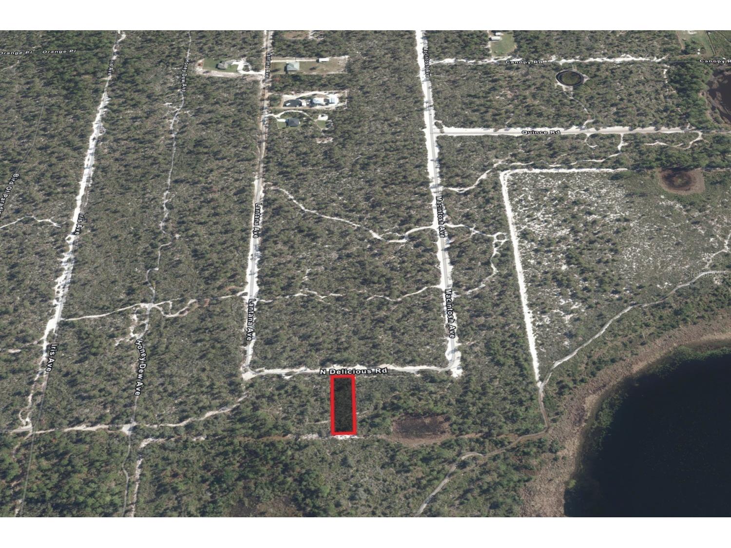 5717 N Delicious Road Sebring FL 33875 TB8468006 image3