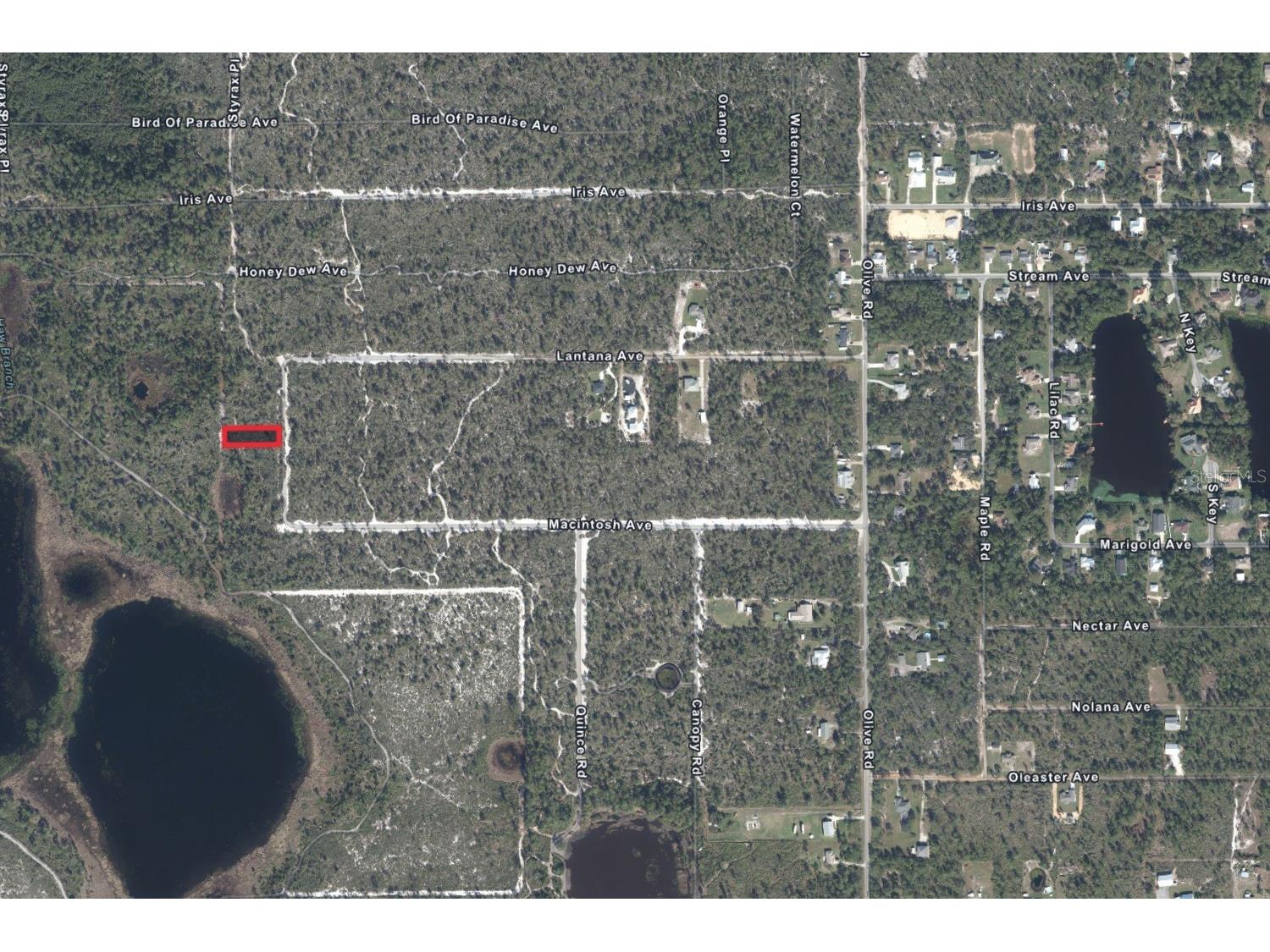 5717 N Delicious Road Sebring FL 33875 TB8468006 image5