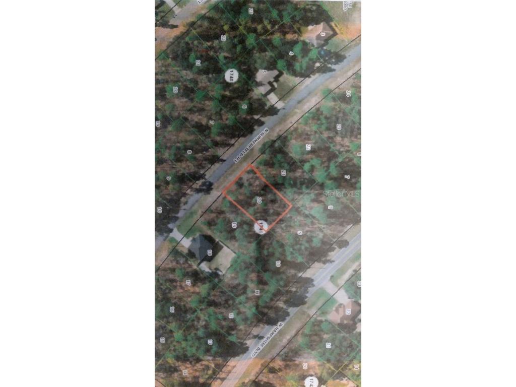 5717 N Summerfield Point Citrus Springs FL 34434 U8162964 image1
