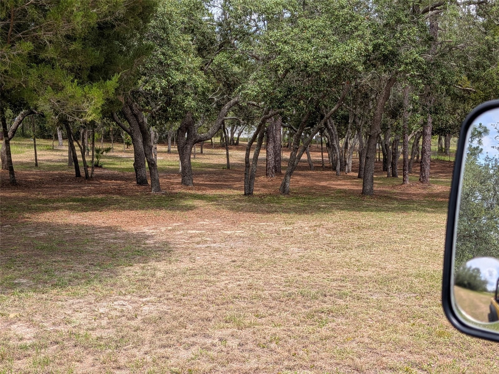 5717 S Oldfield Avenue Homosassa FL 34446 TB8518090 image2