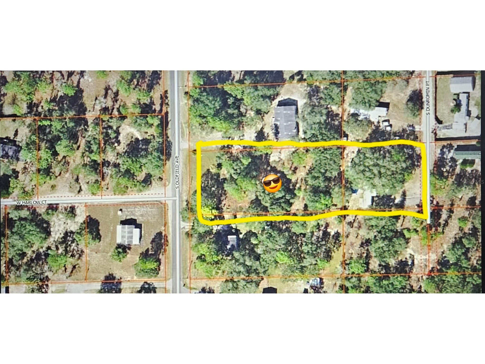 5717 S Oldfield Avenue Homosassa FL 34446 TB8518090 image3