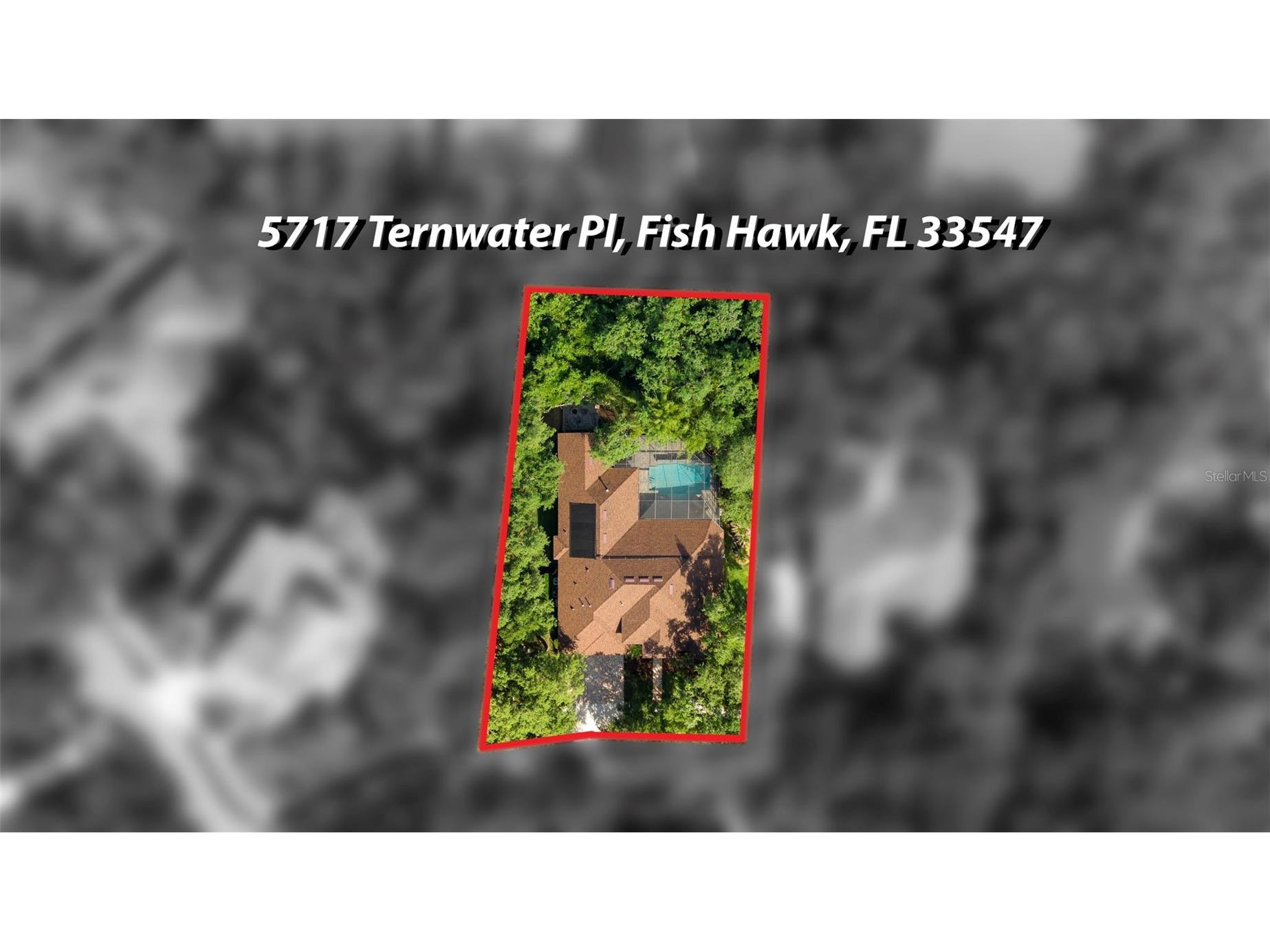 5717 Ternwater Place Lithia FL 33547 TB8515503 image56
