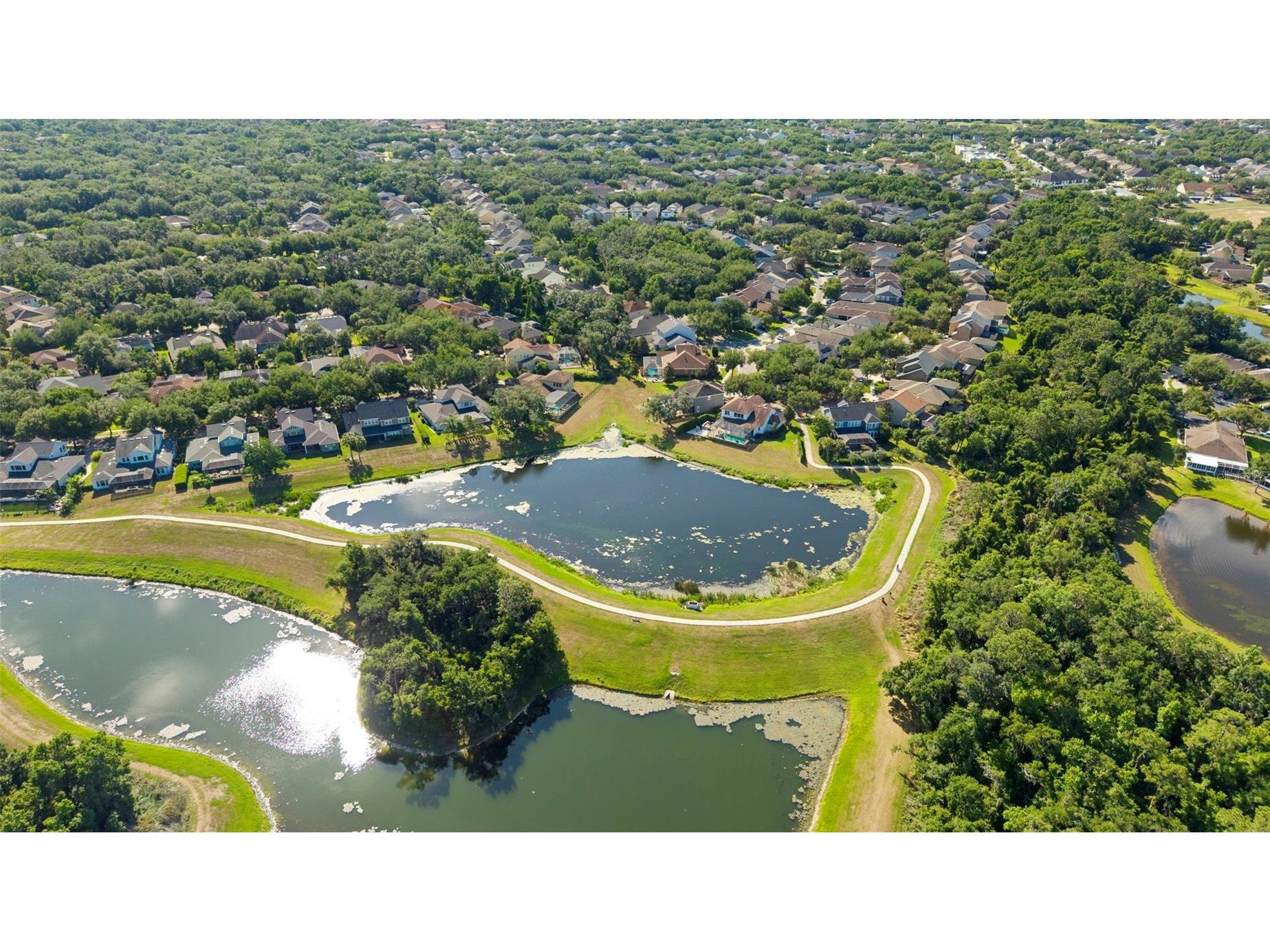 5717 Ternwater Place Lithia FL 33547 TB8515503 image59
