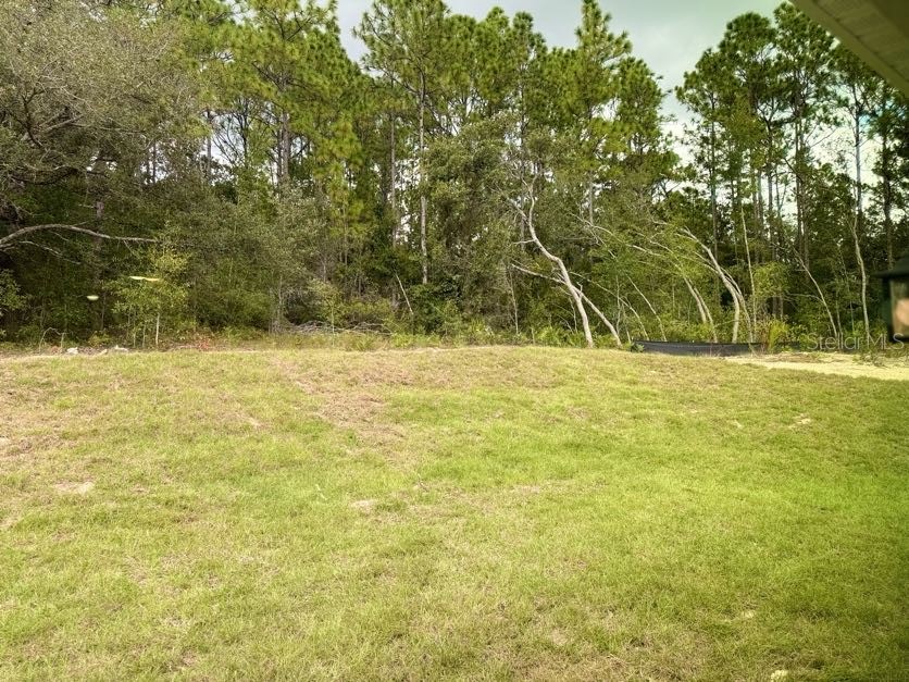 5718 N Decarlo Drive Citrus Springs FL 34433 C7512558 image15