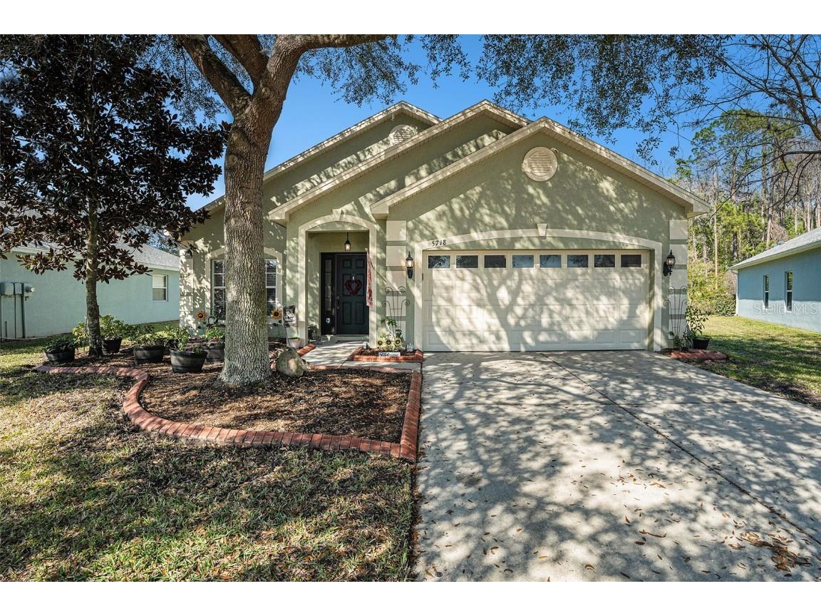 5718 Sheer Bliss Loop Land O Lakes FL 34639 U8231636 image1