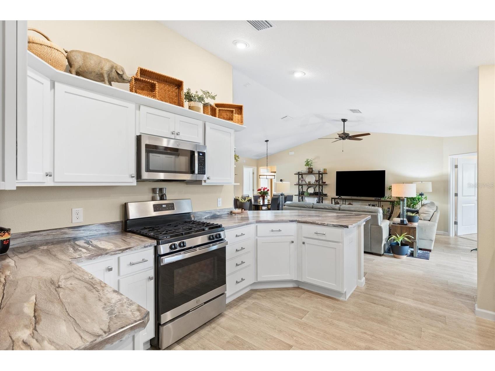 5719 Barraw Terrace The Villages FL 32163 A4693595 image8