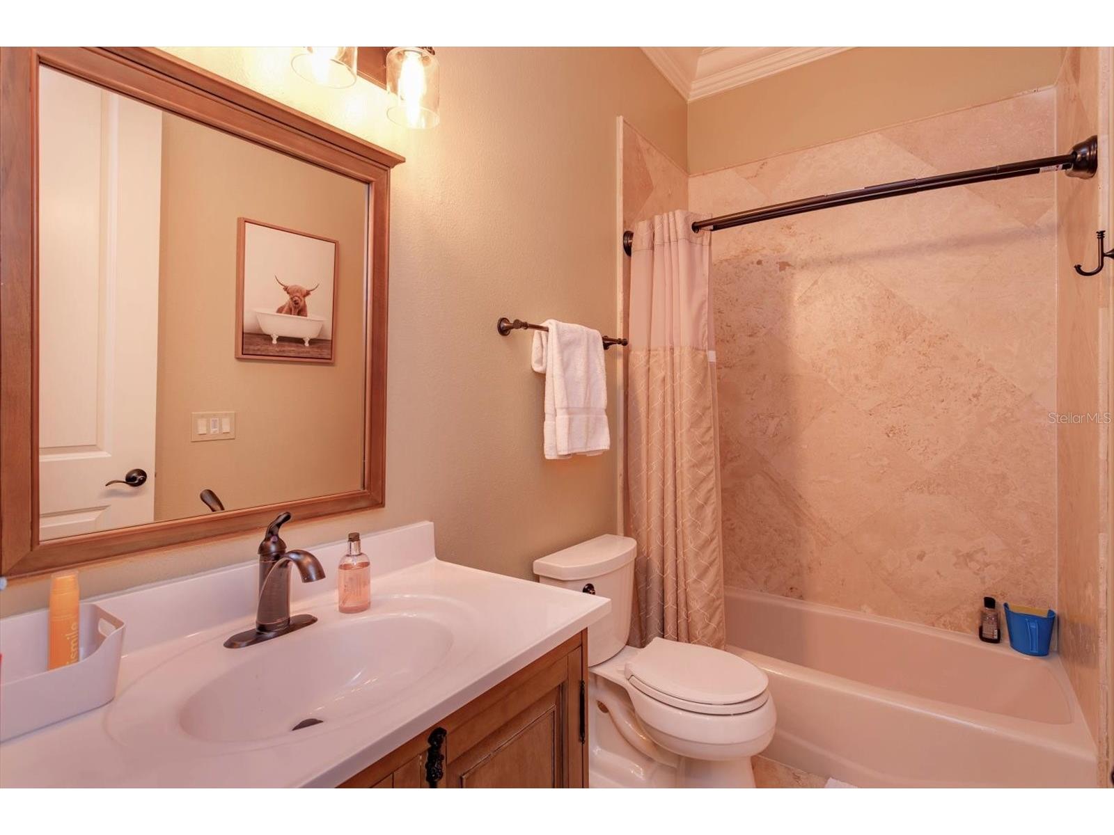 5719 Emerson Pointe Way Orlando FL 32819 O6397588 image41