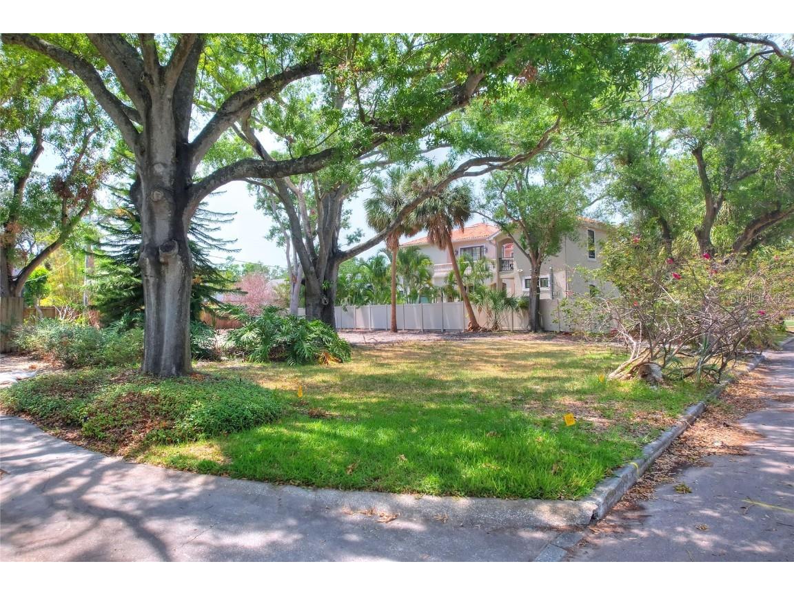 572 Marmora Avenue Tampa FL 33606 L4953480 image23