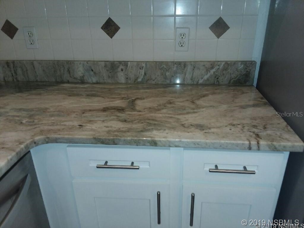 572 Palm Drive New Smyrna Beach FL 32168 NS1088057 image5