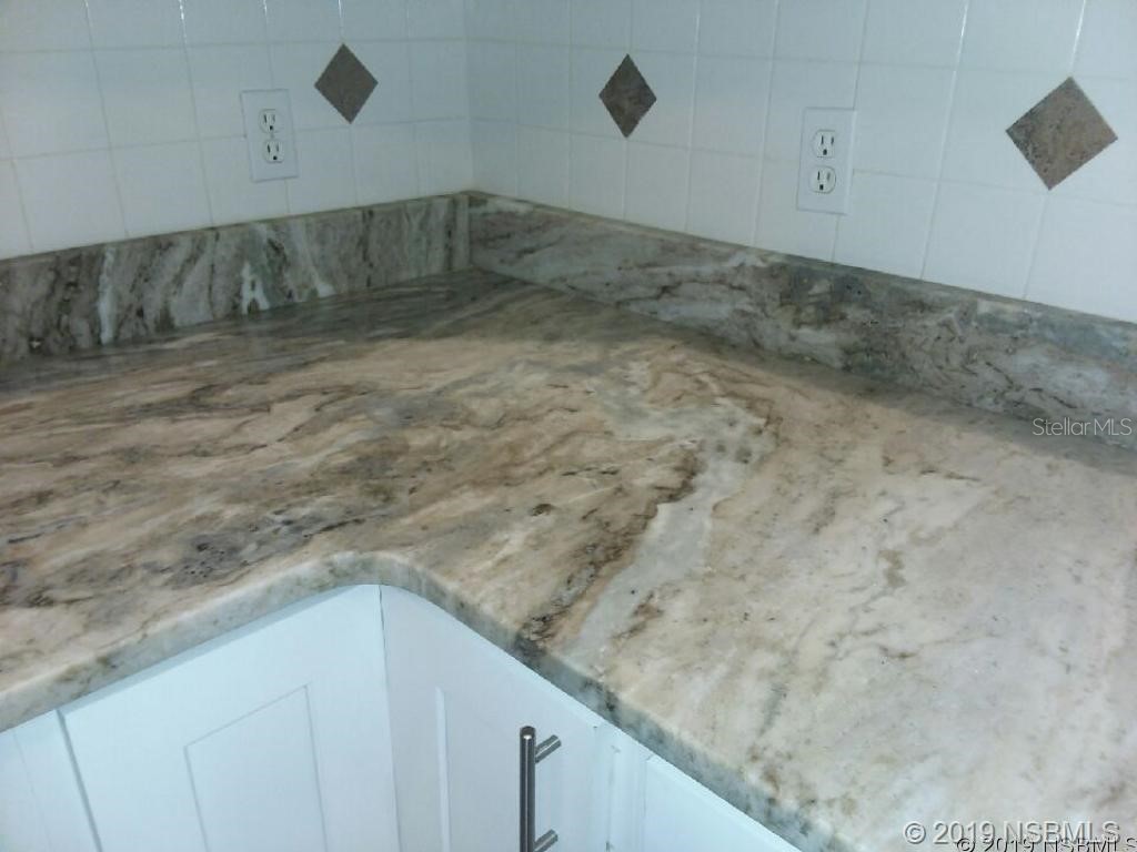 572 Palm Drive New Smyrna Beach FL 32168 NS1088057 image8