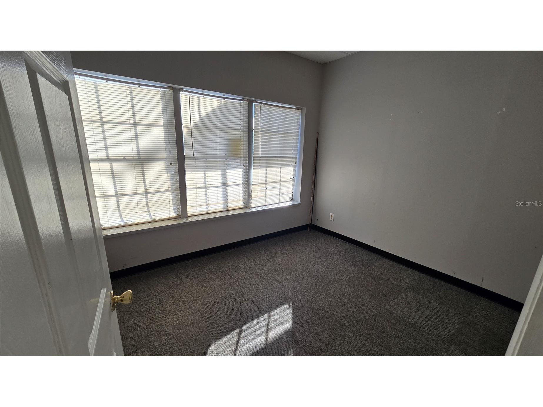 5720 Gall Boulevard #2 Zephyrhills FL 33542 TB8526430 image25
