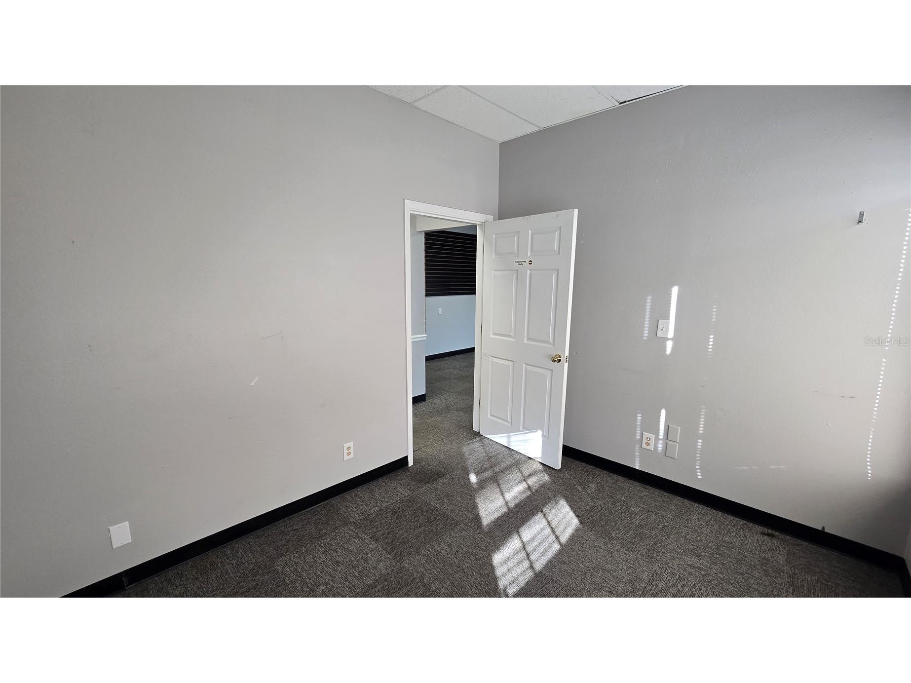 5720 Gall Boulevard #2 Zephyrhills FL 33542 TB8526430 image26