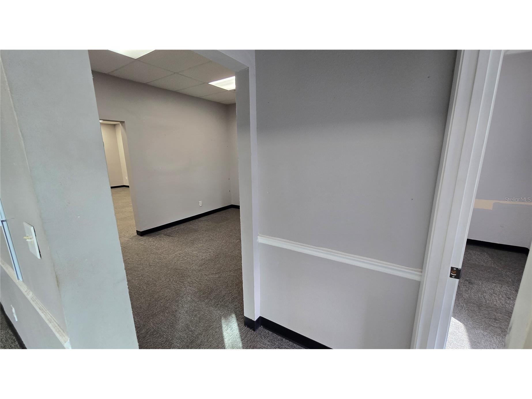 5720 Gall Boulevard #2 Zephyrhills FL 33542 TB8526430 image38