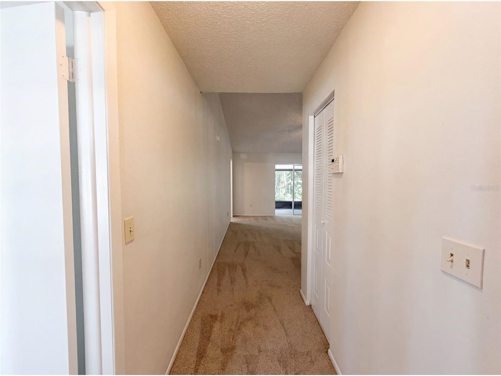 5720 Kneeland Lane Tampa FL 33625 O6418599 image19