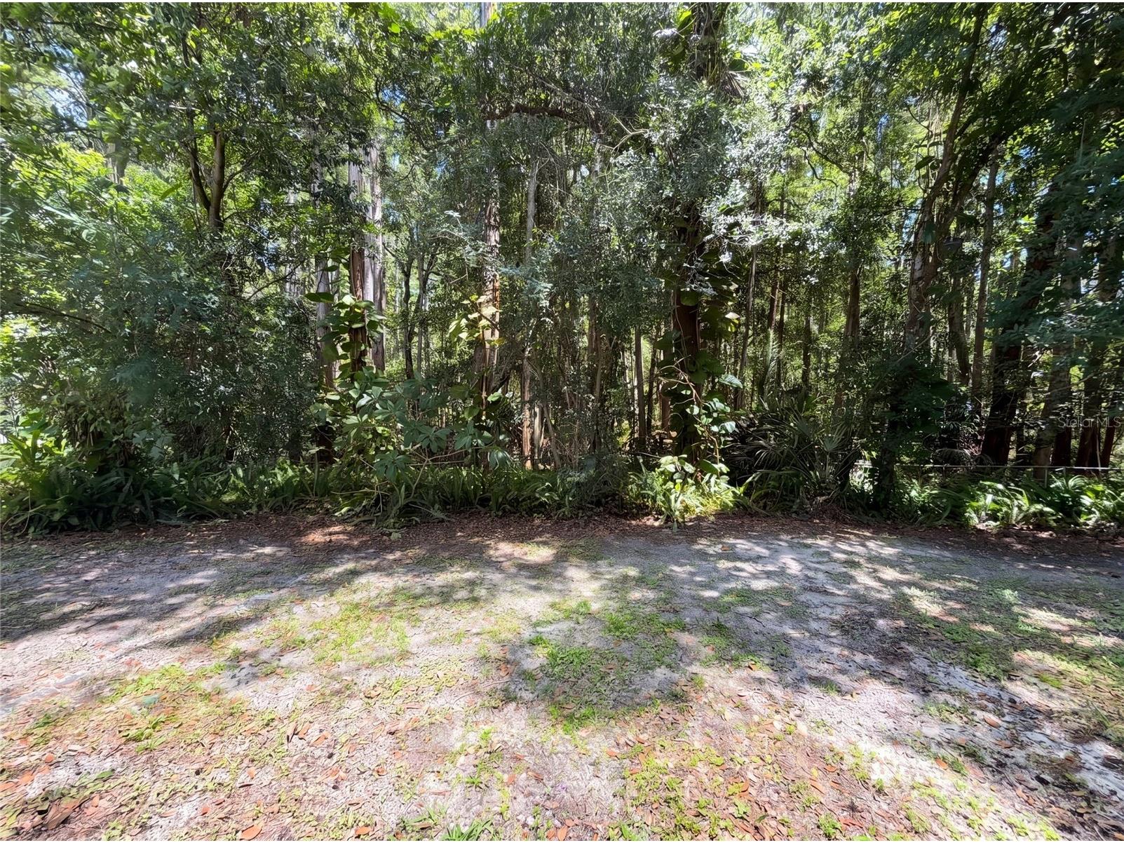 5720 Kneeland Lane Tampa FL 33625 O6418599 image27