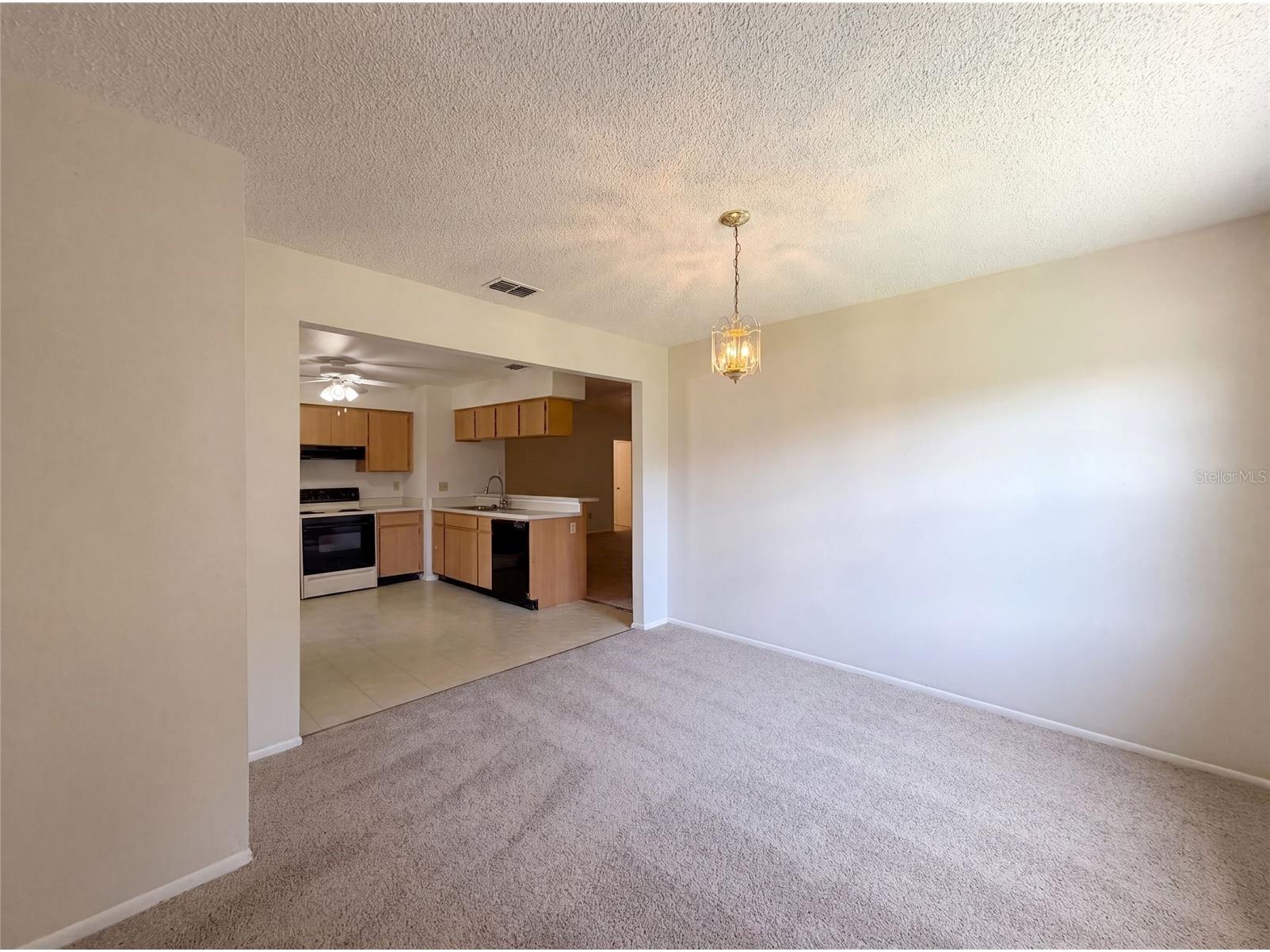 5720 Kneeland Lane Tampa FL 33625 O6418599 image8